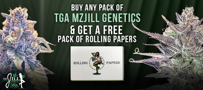 TGA Mz Jill - Buy Any Pack - Get Mz Jill Rolling Papers