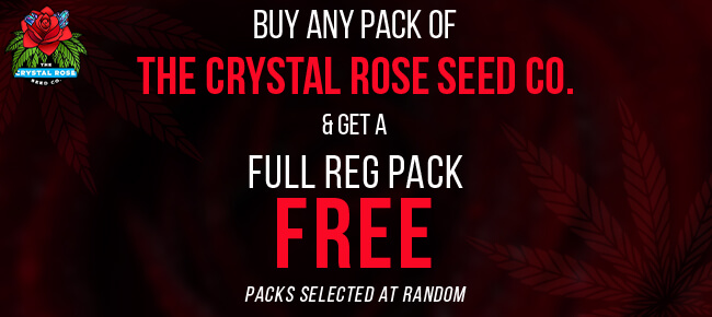 The Crystal Rose Seed Co - Buy Any Pack - Get Random REG Pack FREE