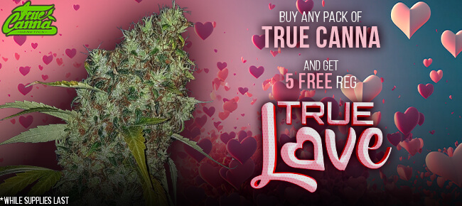 True Canna Genetics - Buy Any Pack - Get 5 REG True Love