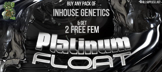 In House Genetics - Buy Any Pack - Get 2 FEM Platinum Float seeds FREE!