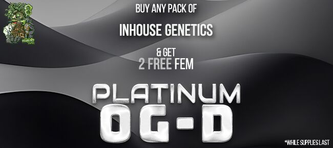 In House Genetics - Buy Any Pack - Get 2 FEM Platinum OG-D