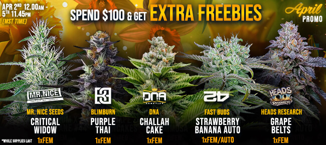 April Promo - Spend $100 - Get EXTRA FREEBIES!