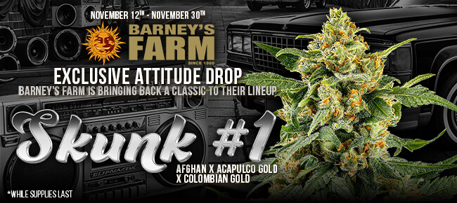 Barney's Farm - Skunk #1 - Exclusive Attitude Drop