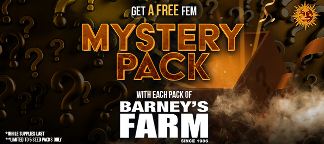 Barney's Farm - Buy Any 5 Seed Pack - Get FEM Mystery Pack