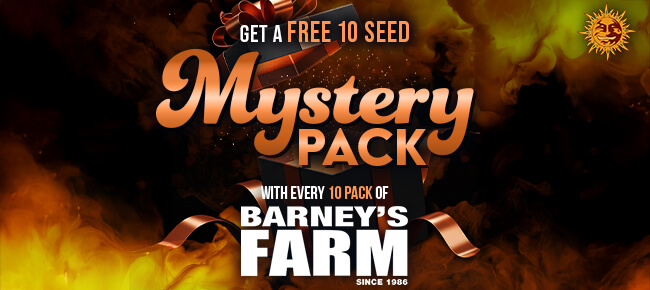 Barney's Farm - Buy Any 10 Seed Pack - Get Randomly Selected 10 Seed Pack