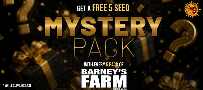 Barney's Farm - Buy Any 5 Seed Pack - Get 5 Seed Mystery Pack