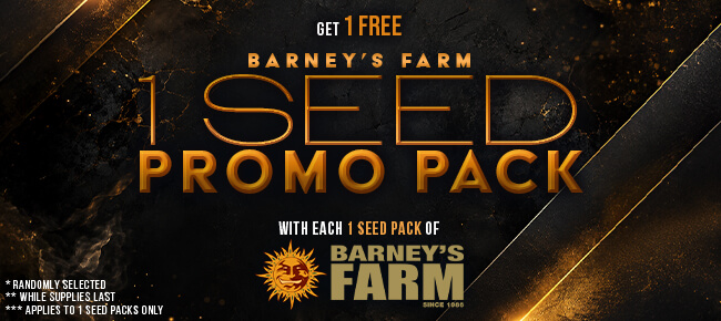 Barney's Farm - Buy Any 1 Seed Pack - Get 1 FEM Seed Promo Pack