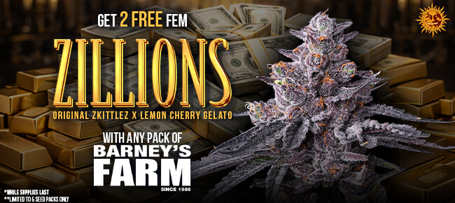 Barney's Farm - Buy Any Pack - Get 2 FEM Zillions