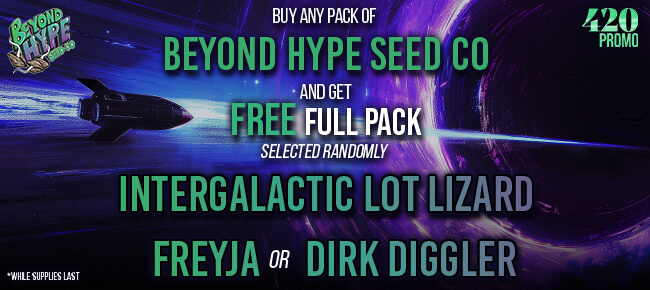 Beyond Hype - Buy Any Pack - Get 6 FEM ILL, Freyja, or Dirk Diggler Selected Randomly
