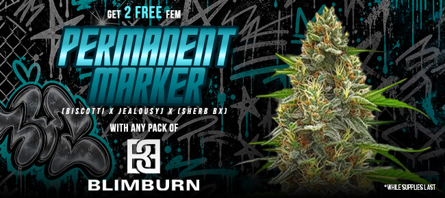 Blimburn - Buy Any Pack - Get 2 FEM Permanent Marker