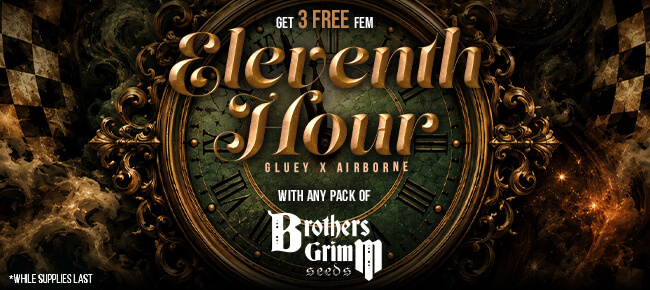 Brothers Grimm - Buy Any Pack - Get 3 FEM Eleventh Hour