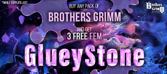 Brothers Grimm - Buy Any Pack - Get 3 FEM Glueystone