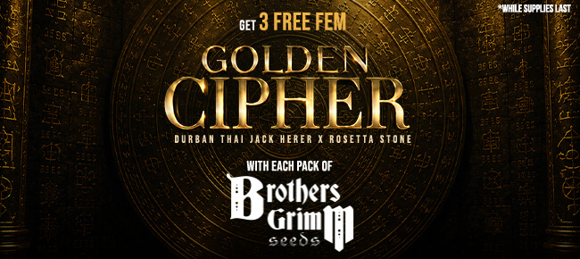 Brothers Grimm - Buy Any Pack - Get 3 FEM Golden Cipher