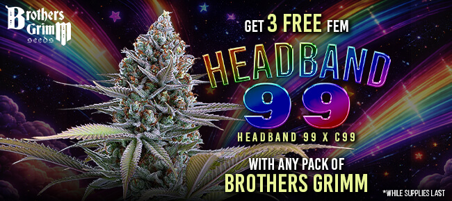 Brothers Grimm - Buy Any Pack - Get 3 FEM Headband 99