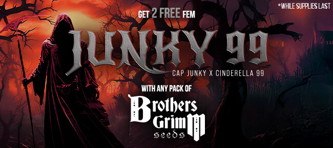 Brothers Grimm - Buy Any Pack - Get 2 FEM Junky 99