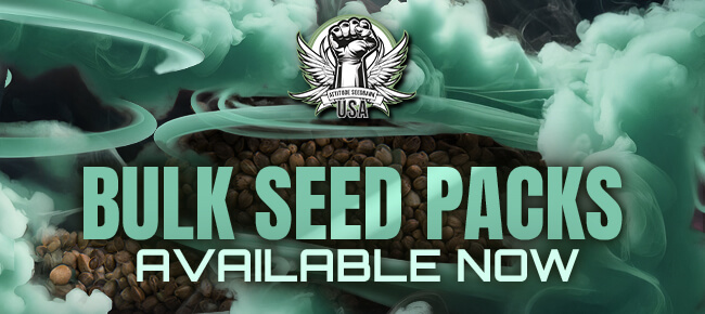 Bulk Seed Packs - Available Now V2