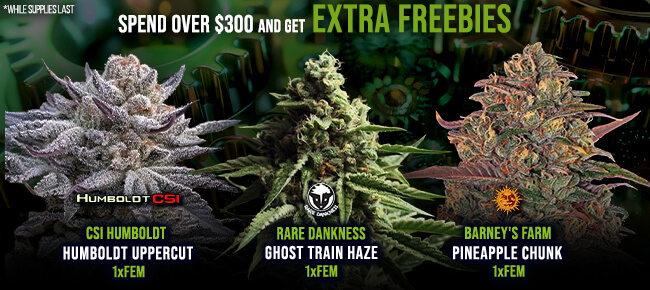 Spend over $300 - Get EXTRA FREEBIES!