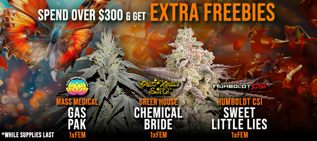 Spend over $300 - Get EXTRA FREEBIES!