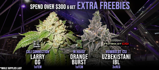 Spend over $300 - Get EXTRA FREEBIES!