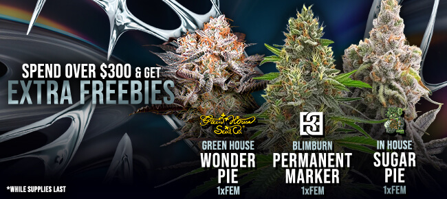 Spend over $300 - Get EXTRA FREEBIES!