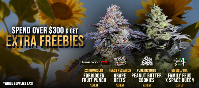 Spend over $300 - Get EXTRA FREEBIES!