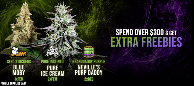 Spend over $300 - Get EXTRA FREEBIES!