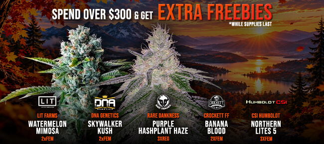 Spend over $300 - Get EXTRA FREEBIES!