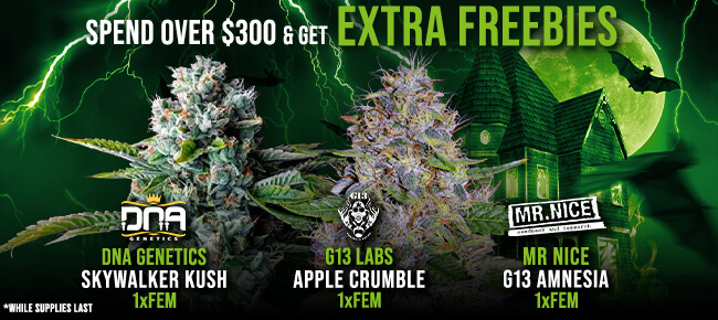 Spend over $300 - Get EXTRA FREEBIES!