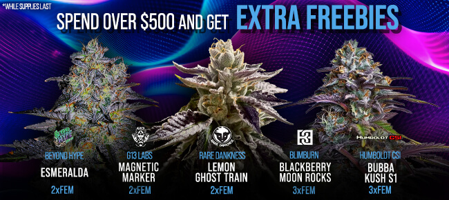 Spend over $500 - Get EXTRA FREEBIES!