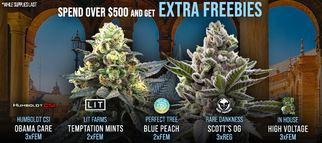 Spend over $500 - Get EXTRA FREEBIES! V15