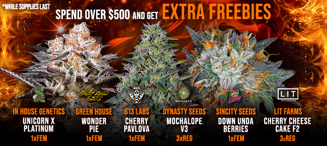 Spend over $500 - Get EXTRA FREEBIES!
