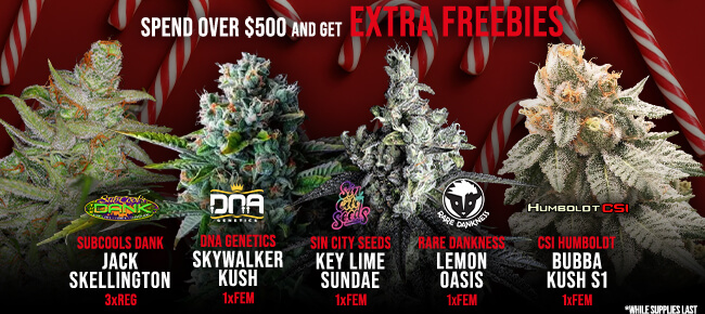 Spend over $500 - Get EXTRA FREEBIES!