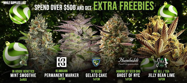 Spend over $500 - Get EXTRA FREEBIES!