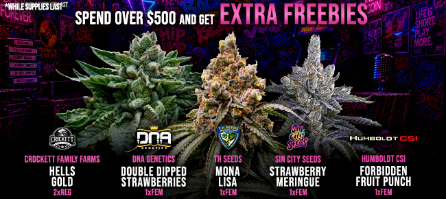 Spend over $500 - Get EXTRA FREEBIES!