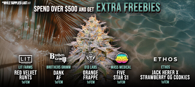Spend over $500 - Get EXTRA FREEBIES!