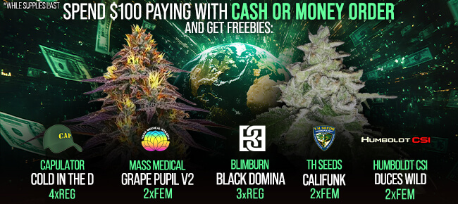 Spend $100 with Cash or Money Order - Get FREEBIES!