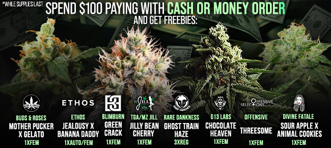 Spend $100 with Cash or Money Order - Get FREEBIES!
