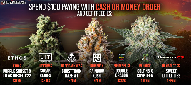 Spend $100 with Cash or Money Order - Get FREEBIES! V24