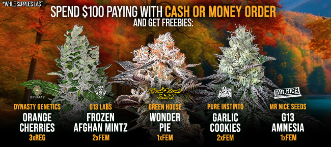 Spend $100 with Cash or Money Order - Get FREEBIES!