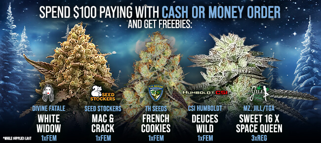 Spend $100 with Cash or Money Order - Get FREEBIES!