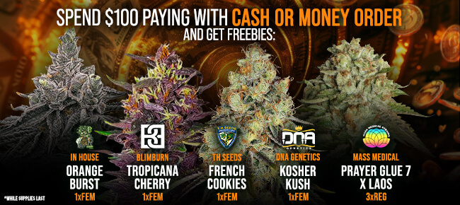 Spend $100 with Cash or Money Order - Get FREEBIES! V27