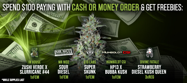 Spend $100 with Cash or Money Order - Get FREEBIES!