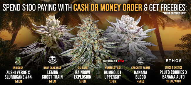 Spend $100 with Cash or Money Order - Get FREEBIES!