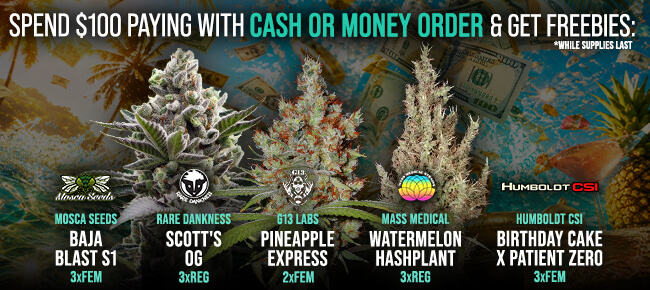 Spend $100 with Cash or Money Order - Get FREEBIES!