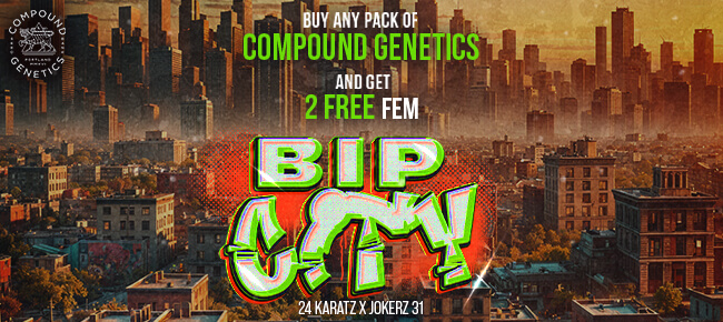 Compound Genetics - Buy Any Pack - Get 2 FEM BIP City