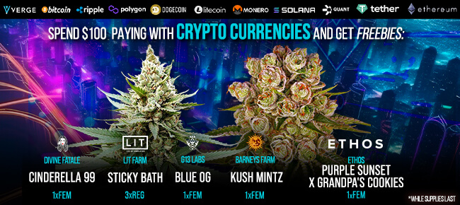 Spend $100 with Crypto Currencies - Get FREEBIES!