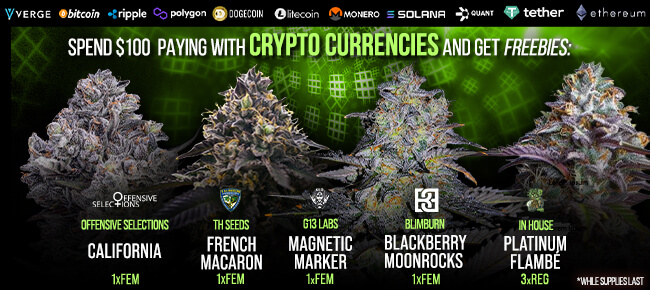 Spend $100 with Crypto Currencies - Get FREEBIES! V20