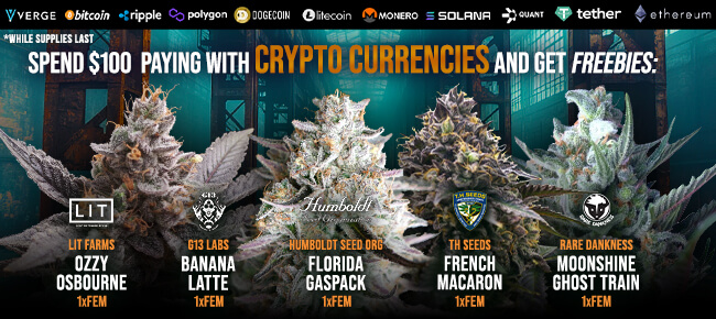 Spend $100 with Crypto Currencies - Get FREEBIES!