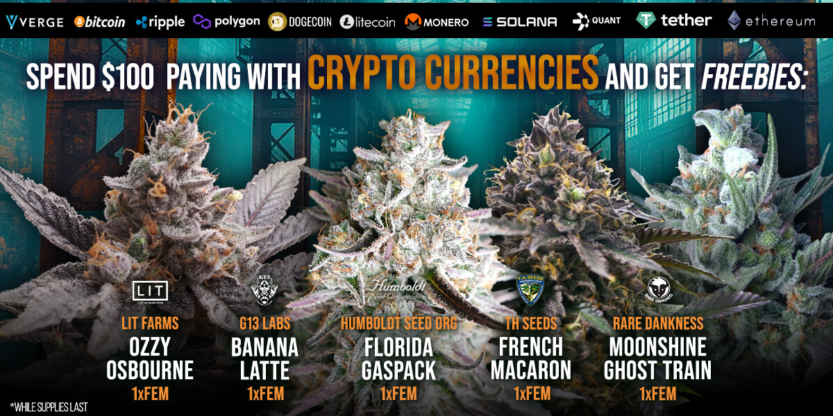 Attitude Seedbank USA | World's Largest Cannabis Seed Super Store