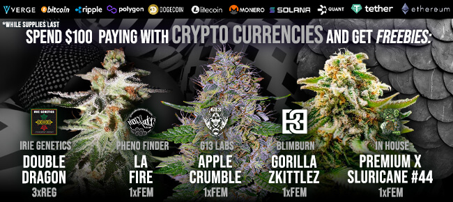 Spend $100 with Crypto Currencies - Get FREEBIES!